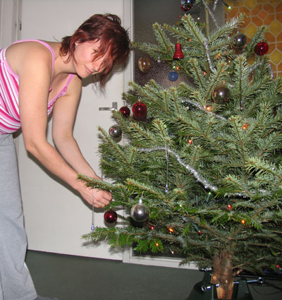 Decorating the Christmas Tree